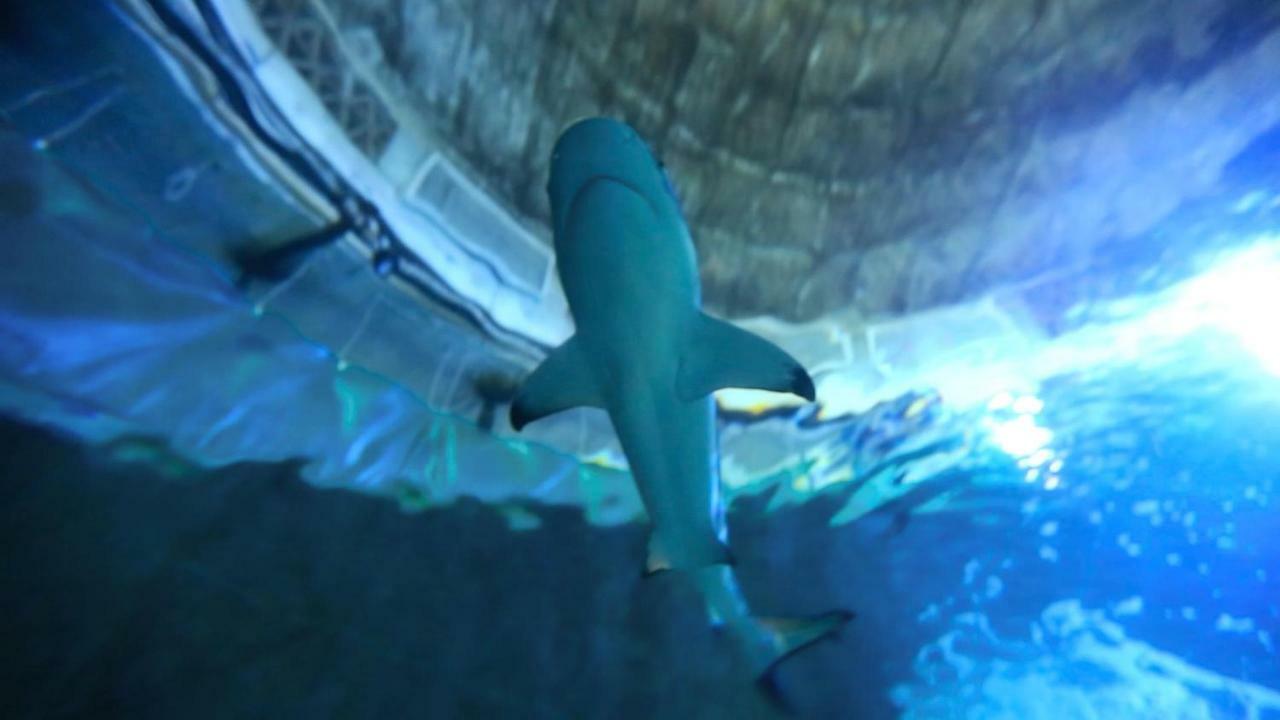 Alda Benalmadenaアパートメント エクステリア 写真